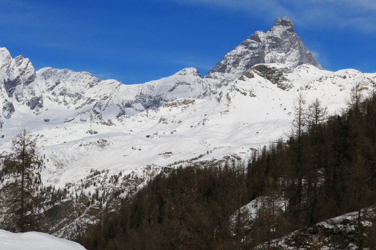 Cheneil © Francesco Frigida